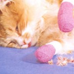 Declawing Cats Required to Rent?
