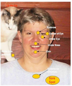 EFT (Tapping) for Animals