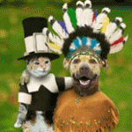 Happy Thanksgiving!
