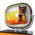My Cat From Hell is Back!