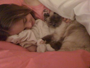 A Declaw Story